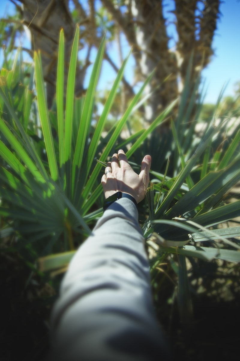 Palmar Reflex: The Hidden Instinct Behind Your Grip