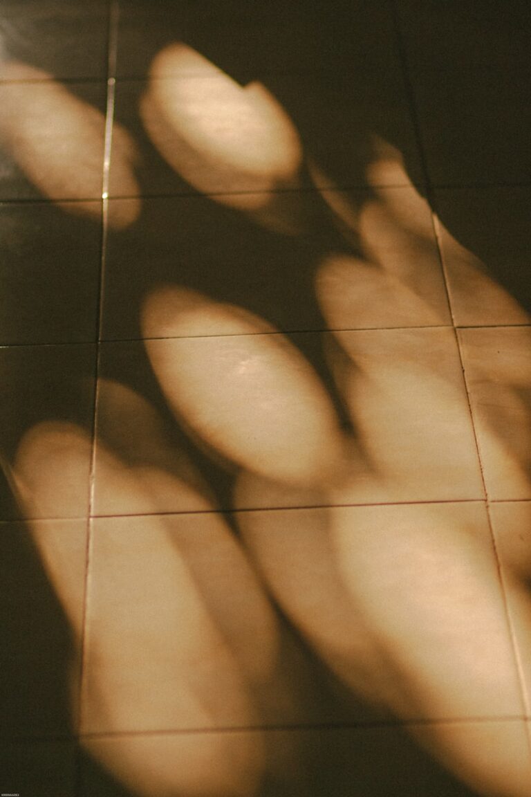 Pareidolia: Why We See Faces in the Shadows