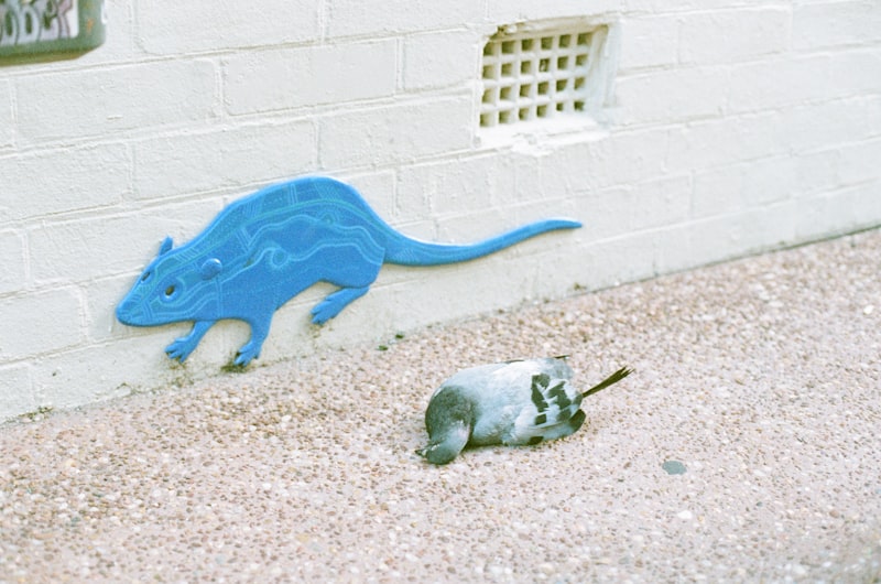 Passive Avoidance: Decoding Memory in Rodent Models