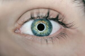 Perception: How Your Eyes Sculpt Reality