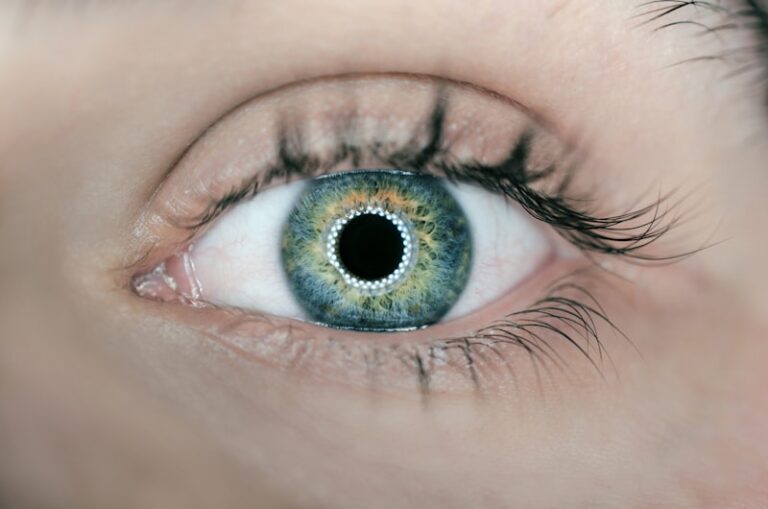Perception: How Your Eyes Sculpt Reality