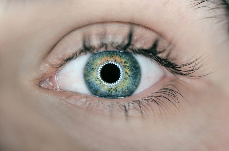 Perception: How Your Eyes Sculpt Reality