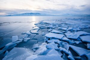 Persistent Puberism: The Mystery of Frozen Development