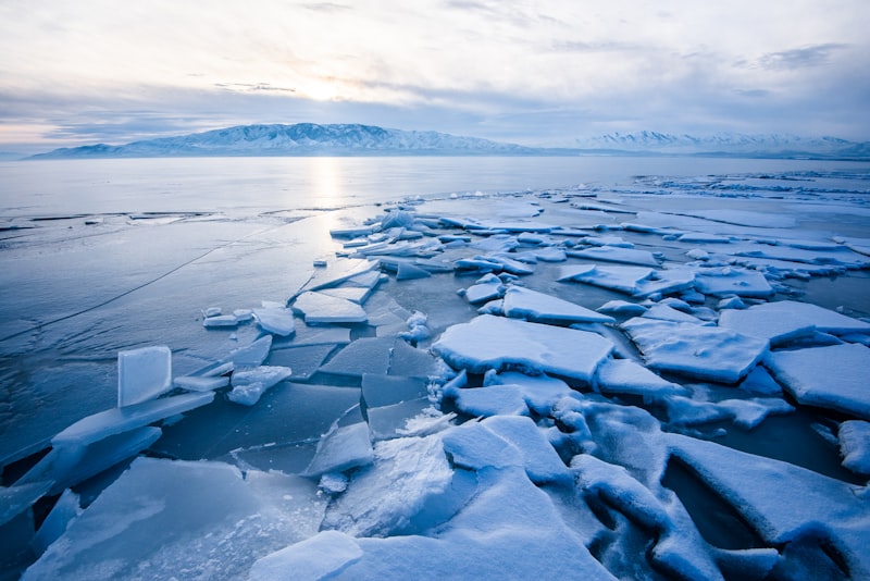 Persistent Puberism: The Mystery of Frozen Development