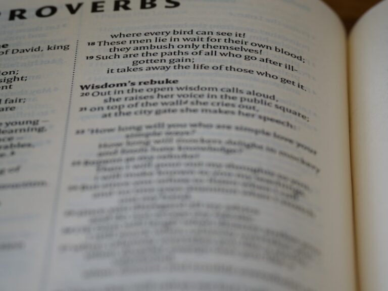 Pivot Grammar: Unlocking the Roots of Early Speech