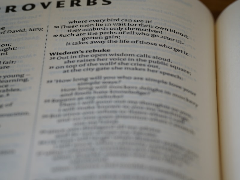 Pivot Grammar: Unlocking the Roots of Early Speech