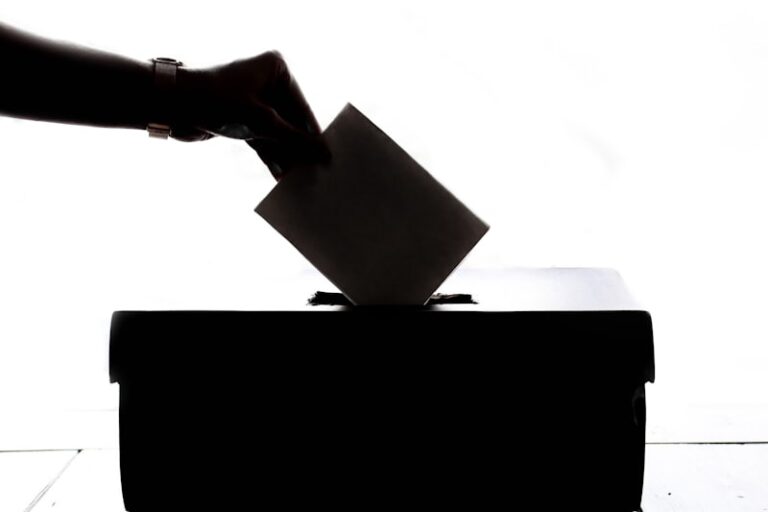 Political Psychology: Decoding the Mind Behind the Vote