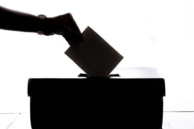 Political Psychology: Decoding the Mind Behind the Vote