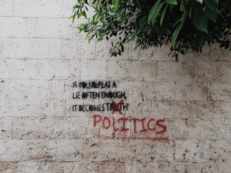 Political Sociology: How Social Ties Mold Your Influence