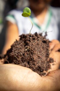 Posthypnotic Suggestion: Planting Seeds for Future Change