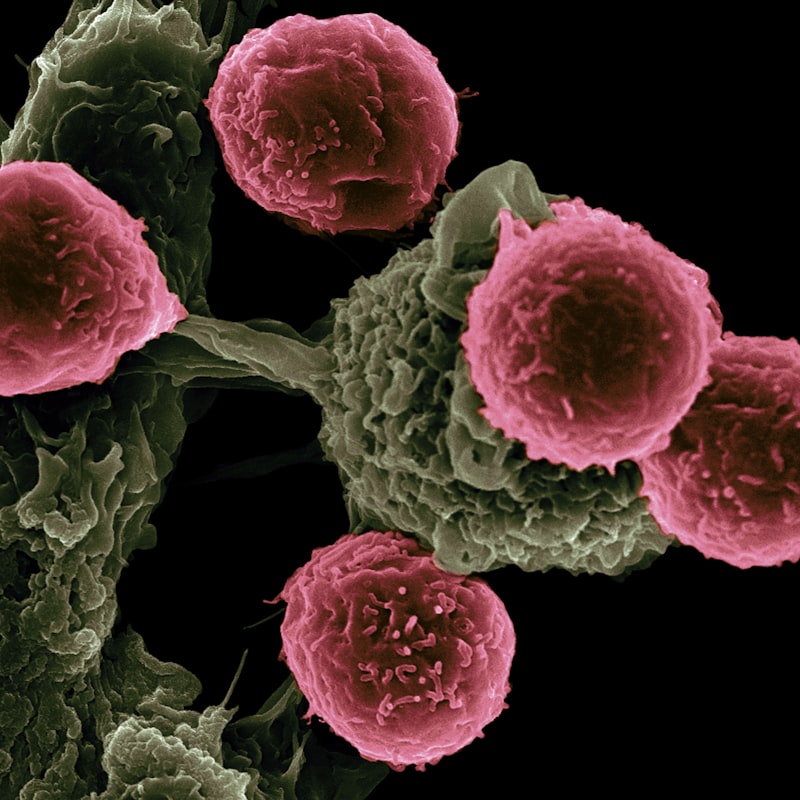 Predictive Health: Empowering Early Cancer Detection