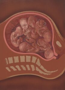 Prenatal Psychology: Decoding the Origins of Human Life