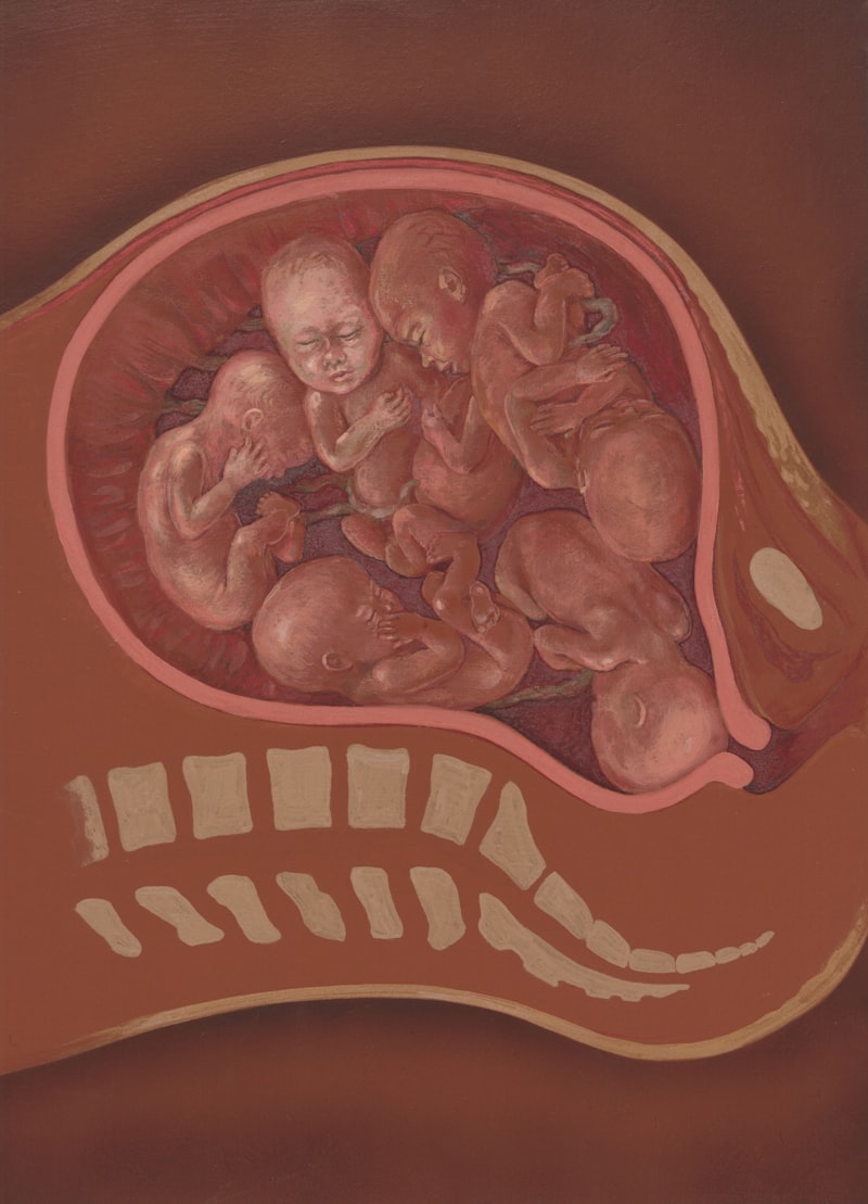 Prenatal Psychology: Decoding the Origins of Human Life