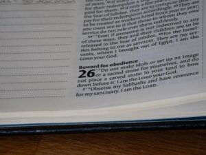 Problems in Living: Mastering Your Daily Challenges