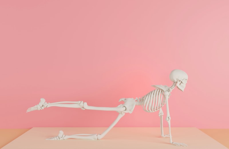 Proprioception: How Your Joints Shape Your Reality