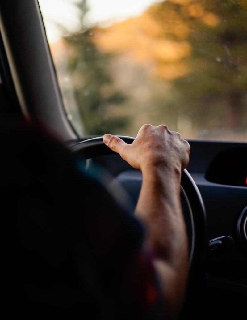 Purposive Psychology: Unlock Your Inner Drive