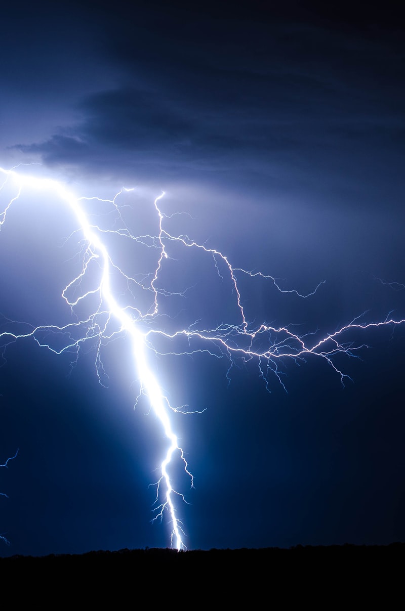 Reflex Arcs: The Science Behind Your Lightning Fast Moves