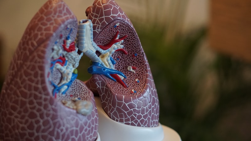 Respiratory Psychology: Decoding Your Breath’s Hidden Data