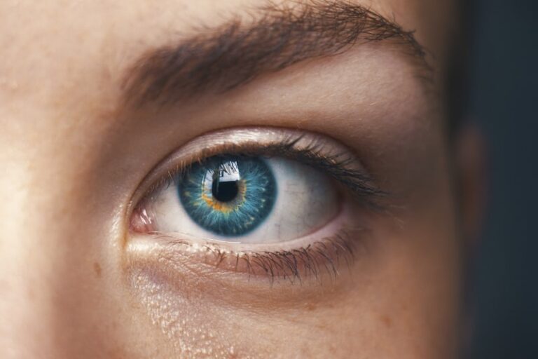 Retinal Oscillations: How Your Eyes Architect Reality