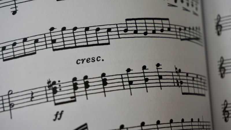 Rhythmic Stereotypy: Decoding Hidden Patterns of Movement