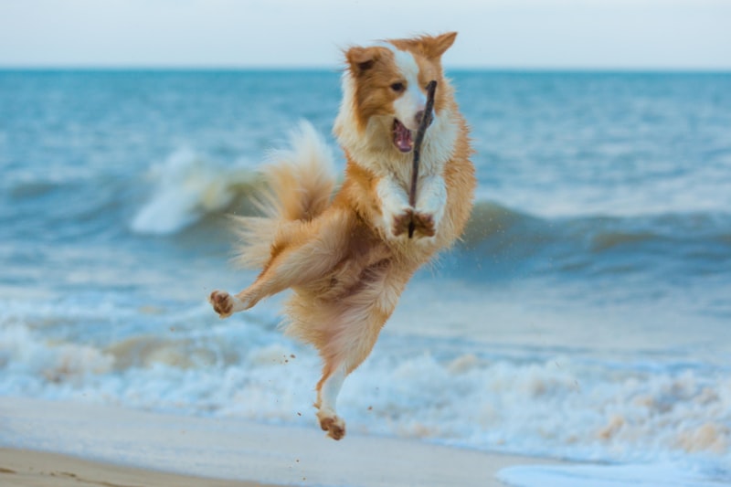 Rokeach Dogmatism: Breaking Free From Cognitive Rigidity