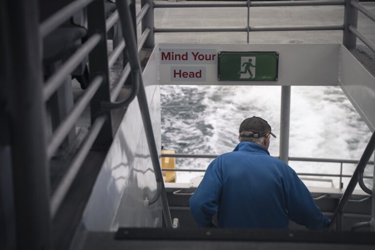 Self-Regulation: Your Mind's Internal Cruise Control