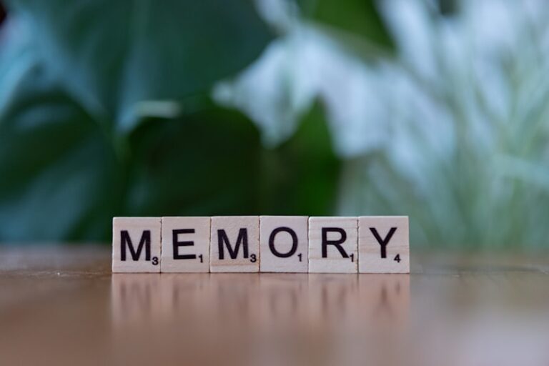 Serial Recall: Master Your Memory Sequences