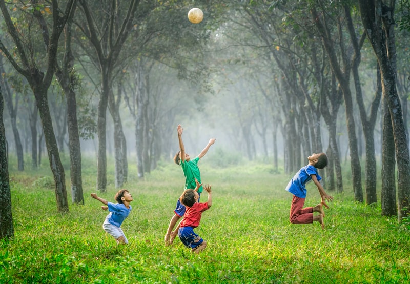 Socionomics: Environmental Forces Shaping Group Behavior