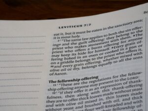 Solicitation Behavior: The Art of Getting Your Way