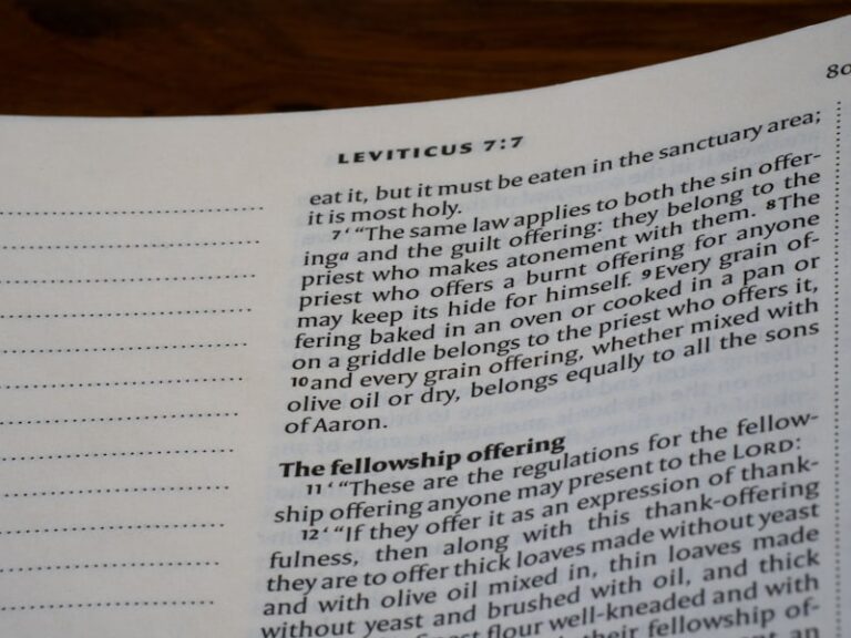Solicitation Behavior: The Art of Getting Your Way