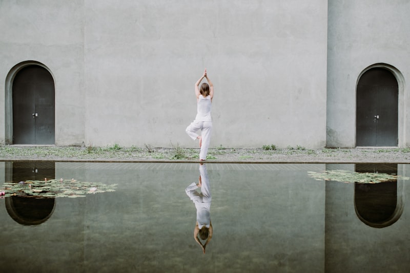 Sophrosyne: Mastering the Art of Inner Equilibrium