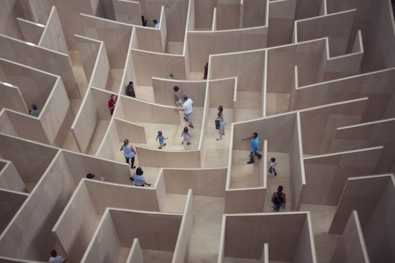 Spatial Memory: Navigating the Maze of the Mind