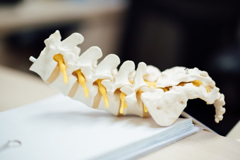 Spinal Pathways: Unlocking the Mechanics of Human Motion