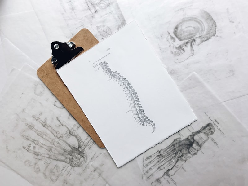 Spinal Psychology: How Your Posture Reflects Your Mind