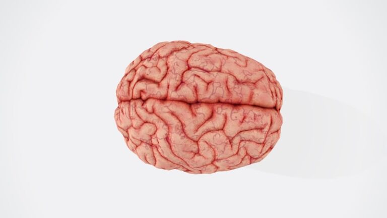 Spontaneous Alternation: Why Your Brain Craves Novelty