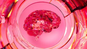 SSRIs: Decoding the Science of Serotonin Regulation