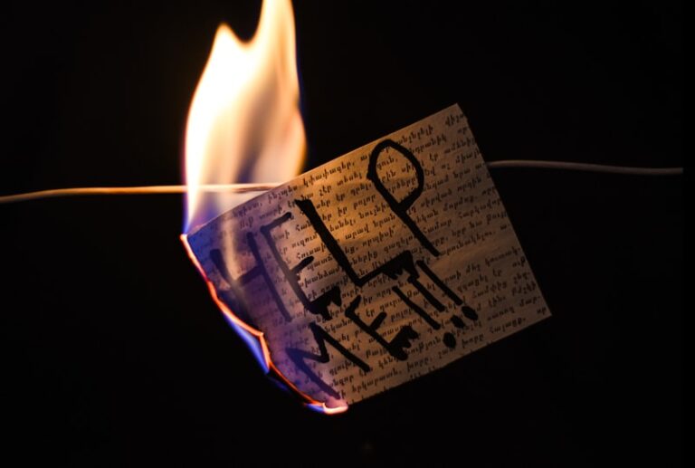 Surplus Energy Theory: Why We Play to Burn Off Excess