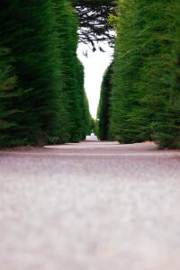 Symmetry Compulsion: The Hidden Drive for Perfection