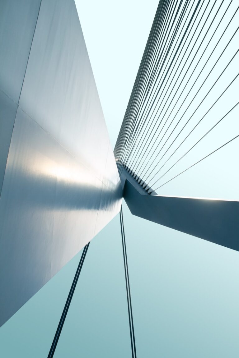 Systemic Connectivity: Bridging Minds and Architecture