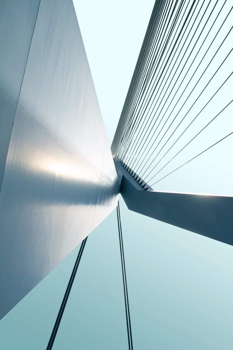 Systemic Connectivity: Bridging Minds and Architecture