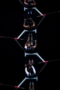 Team Synergy: The Psychology of Peak Group Performance