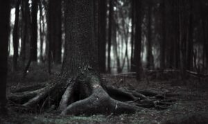 Terror: Unlocking the Roots of Absolute Fear