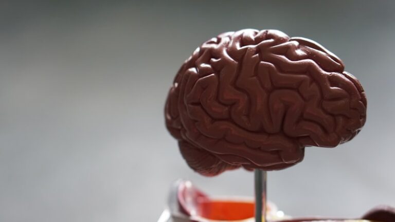 The Blood-Brain Barrier: Your Mind’s Elite Security Detail