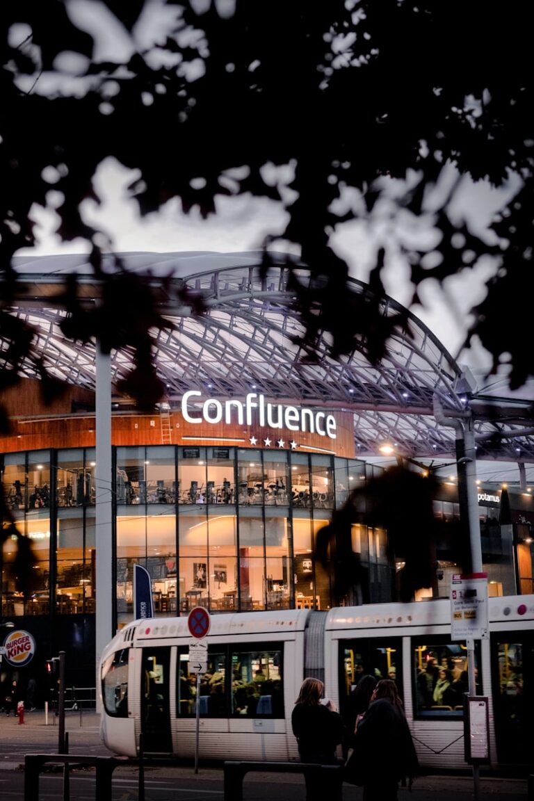 The Confluence Model: Does Birth Order Shape Your IQ?