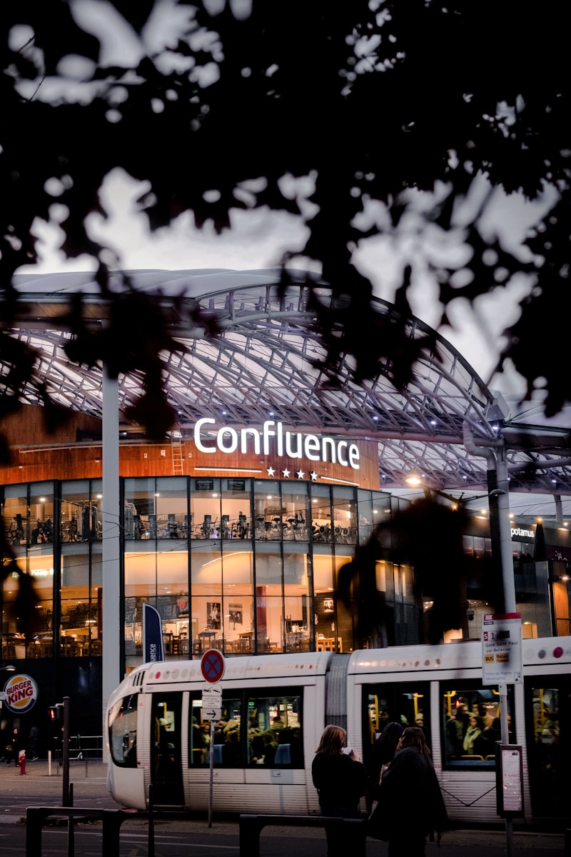 The Confluence Model: Does Birth Order Shape Your IQ?