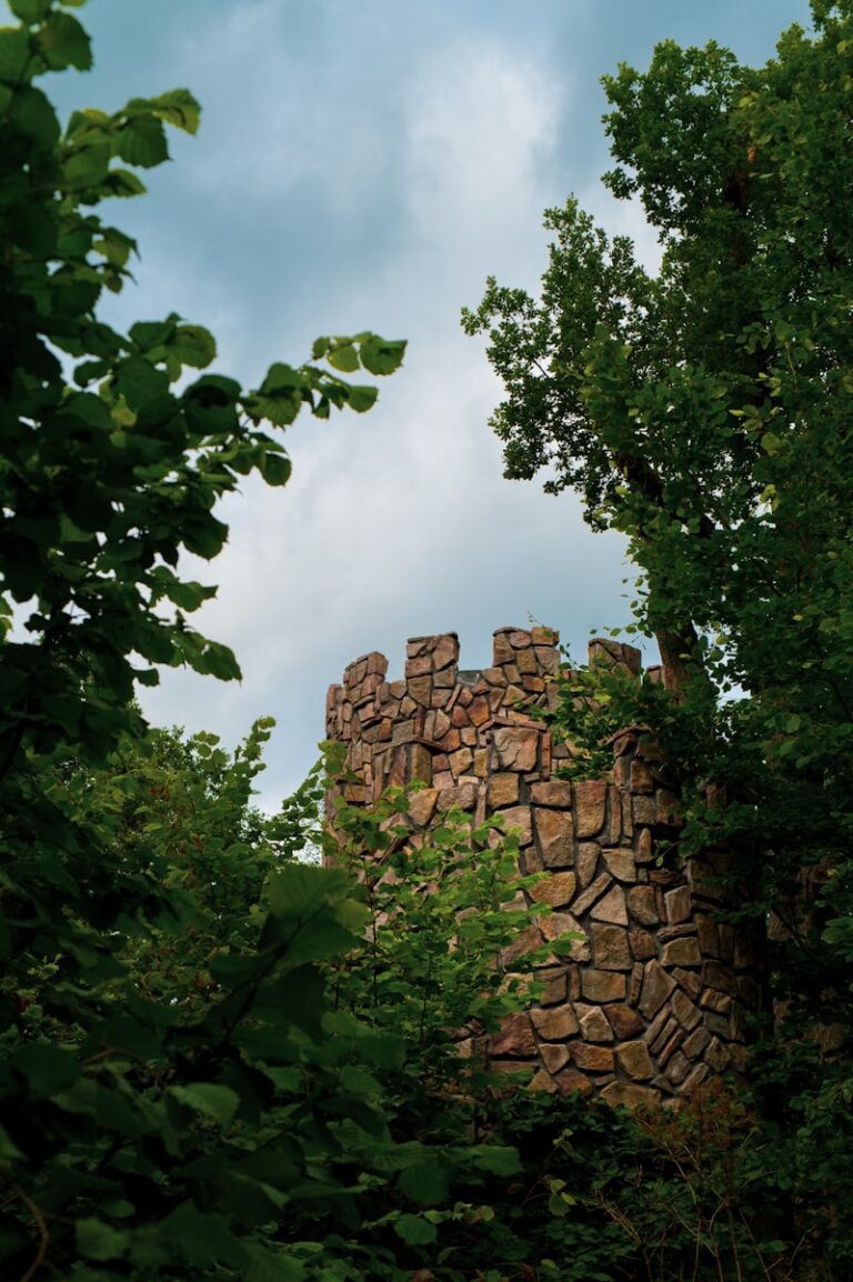 The Cranium: Nature’s Fortress for the Mind