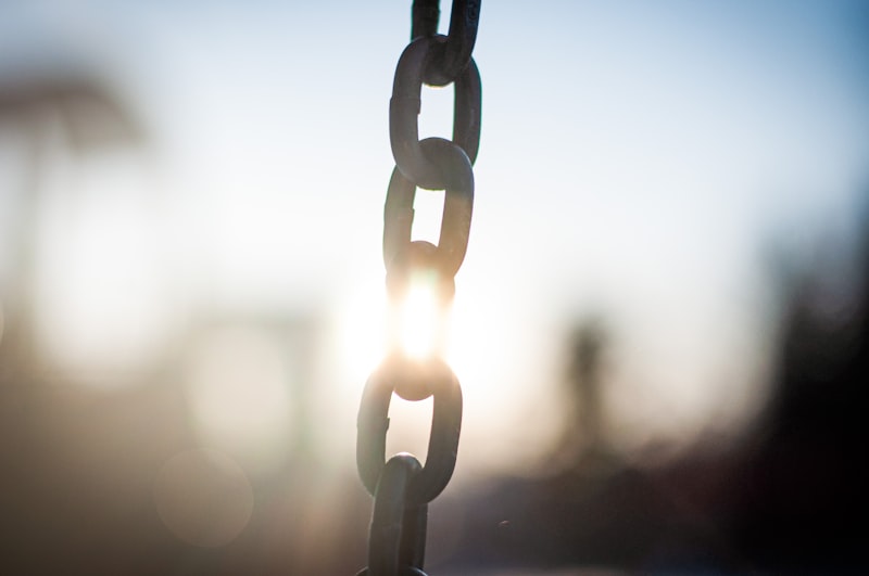 The Cycle of Violence: Breaking the Chains of Abuse