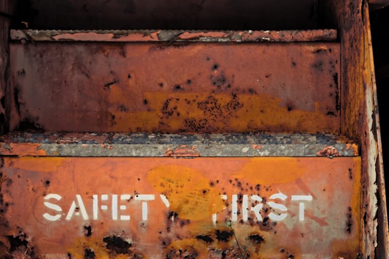 The Dilution Effect: Why Safety Thrives in Numbers
