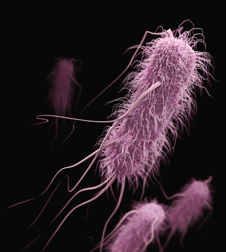 The Gut-Brain Axis: How Bacteria Control Your Mood
