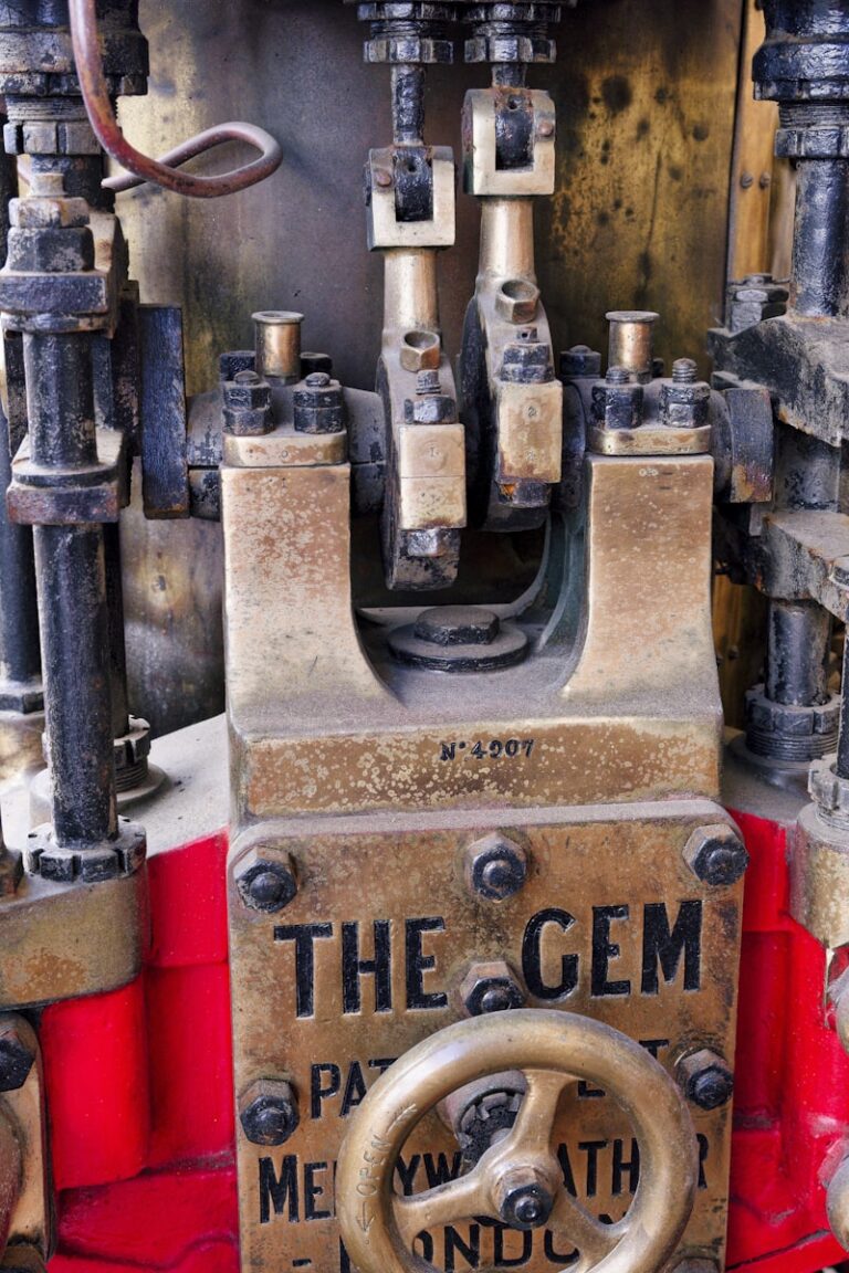 The Mechanical-Man: Are We Just Complex Biological Machines?